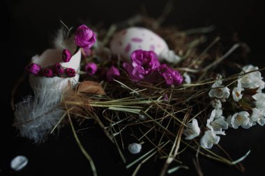 Bahar çiçekleriyle süslenmiş güzel yumurtalar. Yakın plan. 