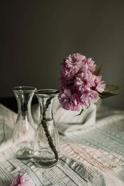 Masadaki Cam Vazoda Çiçek Açan Kiraz Dalı — Stok fotoğraf