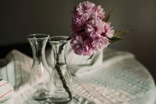 Flowering Cherry Branch Glass Vase Table Royalty Free Stock Images