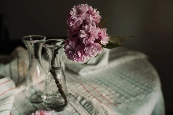 Virágzó Cseresznyefa Egy Üvegvázában Asztalon Stock Fotó