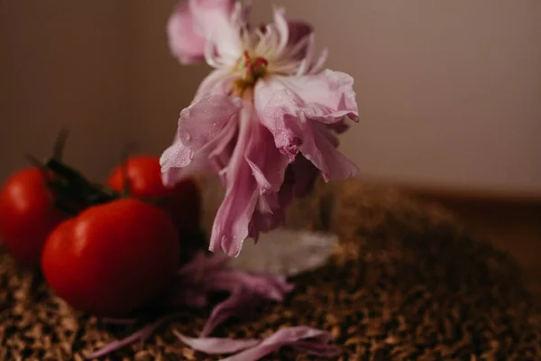 Bunga Bunga Peony Dengan Tomat Kursi Wicker Close View — Stok Foto