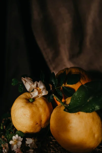 Lomon Dengan Bunga Putih Kursi — Stok Foto