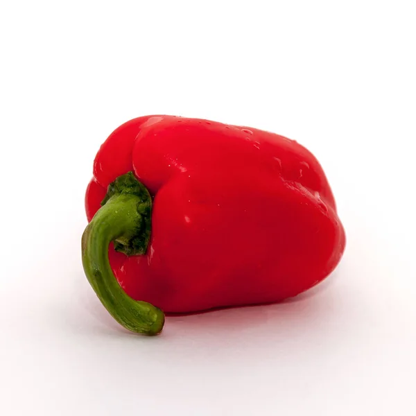 Bell Pepper White Background — Stock Photo, Image