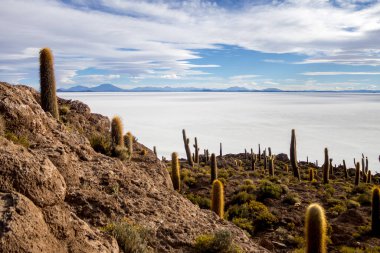 Bolivya 'daki Uyuni tuzlu bataklığı güzel gün batımları ve günbatımları