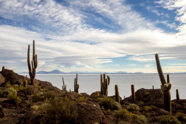 Bolivya 'daki Uyuni tuzlu bataklığı güzel gün batımları ve günbatımları