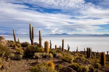 Bolivya 'daki Uyuni tuzlu bataklığı güzel gün batımları ve günbatımları