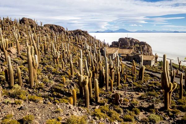Salinas Uyuni Bolivia Hermosas Vistas Puestas Sol Amaneceres — Foto de Stock