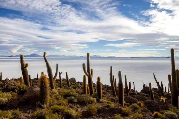 Bolivya Daki Uyuni Tuzlu Bataklığı Güzel Gün Batımları Günbatımları — Stok fotoğraf