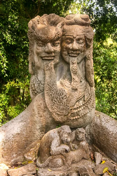 인도네시아 드시에 원숭이의 — 스톡 사진