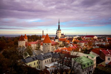 Ortaçağ Eski Kenti, Aziz Olaf Vaftizci Kilisesi ve Tallinn şehir duvarlı havadan kentsel manzara, Estonya 'nın Tallinn şehrinin güzel panoramik manzarası
