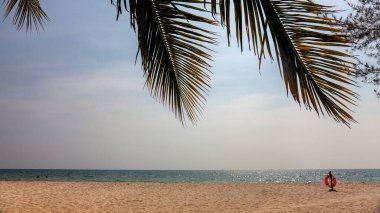 Boş bir sahilde can simidi. Palmiye yapraklarının altındaki panoramik boş plaj. Konsept: boş tatil köyü, kötü sahil sezonu, yalnızlık, kötü turizm, kendini izole etme