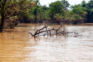 Tonle SAP, Kamboçya - Şubat 2014: Kampong Phluk köyü kuraklık döneminde. Siem Reap, Kamboçya yakınlarındaki Kamboçya köyünün sakinlerinin yaşamı ve çalışmaları