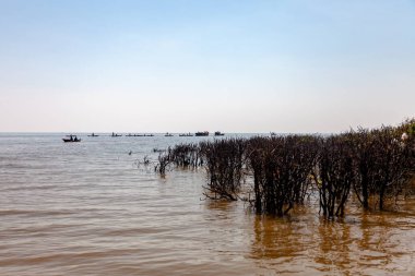 Tonle SAP, Kamboçya - Şubat 2014: Kampong Phluk köyü kuraklık döneminde. Siem Reap, Kamboçya yakınlarındaki Kamboçya köyünün sakinlerinin yaşamı ve çalışmaları