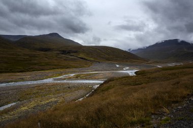 İzlanda 'da manzara. Gökyüzü bulutlarla dolu ve volkanik taşların ortasında yosun dolu görünür bir su noktası var.