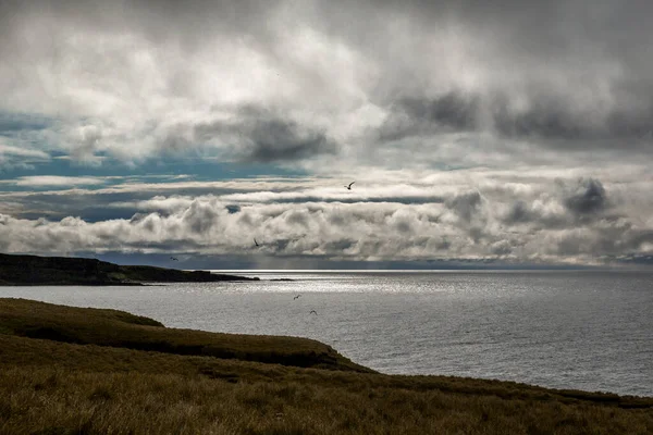 冰岛北部靠近北极圈的格里姆西岛的景观 海洋是一片清澈的冰蓝色 天空有一点云彩 悬崖下有许多岩石 — 图库照片