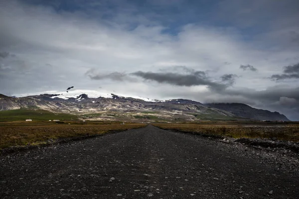Road lined with brown vegetation taken with a low point of view in Iceland. The perspetive looks far into the mountains surrounded by a blue sky with clouds