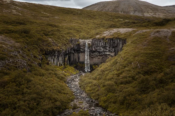 スヴァルフィトスの広い景色 アイスランド南東部のスカッタフェル国立公園の玄武岩で作られた幾何学的な岩壁の滝 滝は植生に囲まれていて — ストック写真