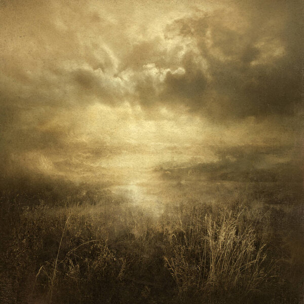 Мутный пейзаж с сухой травой и облачным небом
.