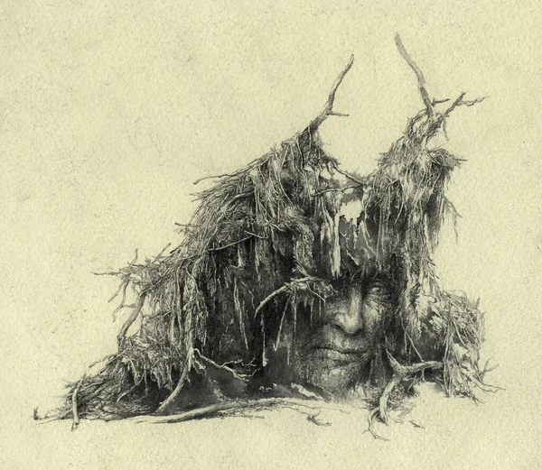 Spirit of the fallen tree. Sad human face under the roots.