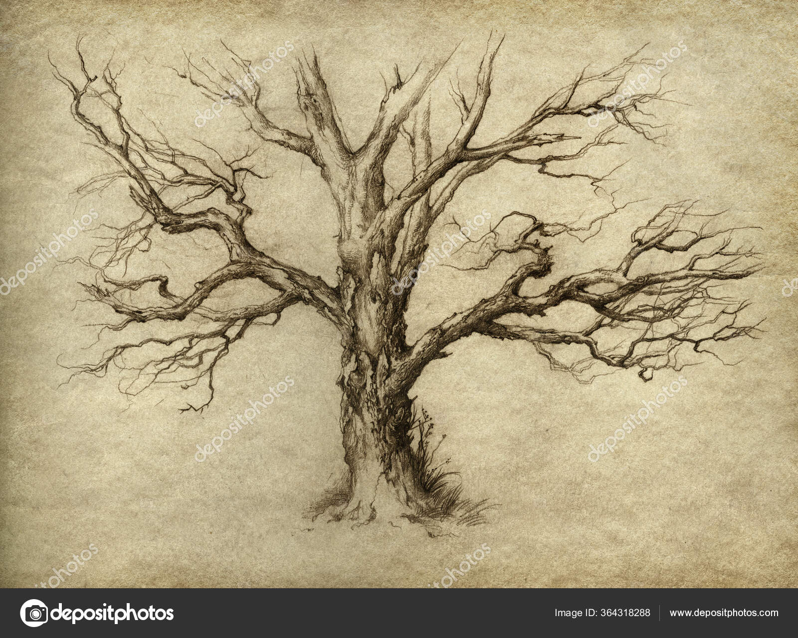 Lápiz dibujo árbol seco fotos de stock, imágenes de Lápiz dibujo árbol seco  sin royalties | Depositphotos