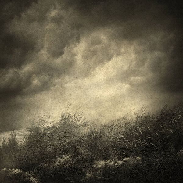 Мрачный пейзаж с сухой травой на переднем плане и драматическое облачное небо на заднем плане, акрил на бумаге и монтаж
.