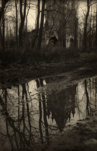 Paisaje Sombrío Con Árboles Secos Ruinas Góticas Foto Película Ligeramente —  Fotos de Stock