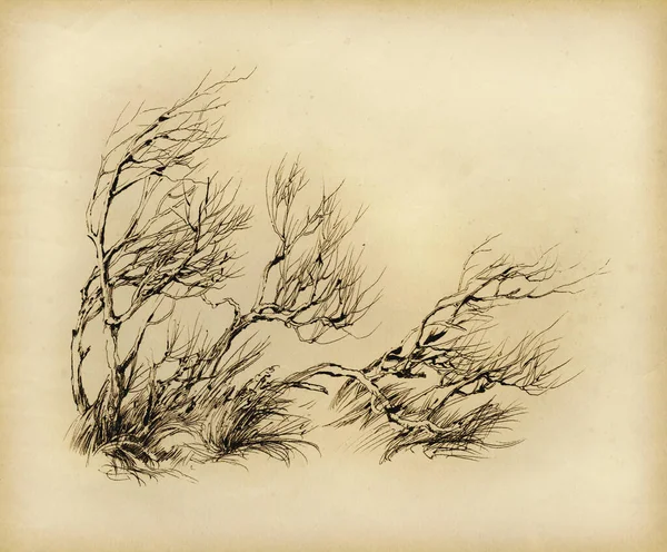 Художественное Чернильное Рисование Сухих Деревьев Ветру — стоковое фото