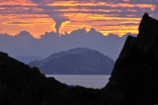 Bass Rock Adası İskoçya