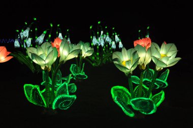 Longleat 'taki Işık Festivali