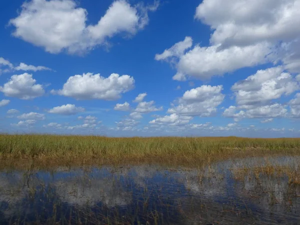 Everglades Panoráma Víz Refelction Kék — Stock Fotó