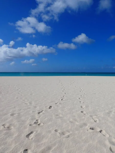 Playa Caribeña Con Arena Blanca Mar Azul Aruba — Foto de Stock