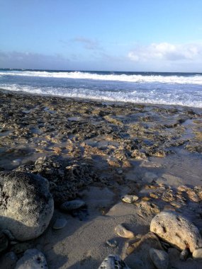 Gün batımında taşlı sahil ve mavi gökyüzü, Barbados
