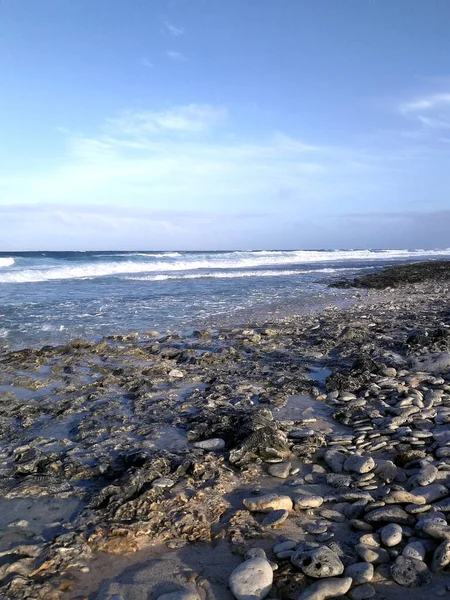 Playa Pedregosa Atardecer Cielo Azul Barbados — Foto de Stock