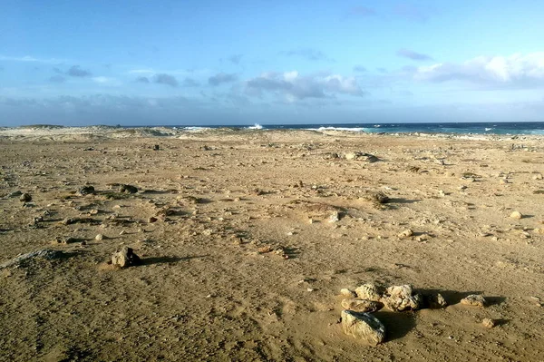 Spiaggia Rocciosa Tramonto Cielo Chiaro Blu Nelle Barbados — Foto Stock