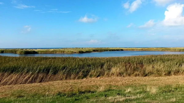 Belo Panorama Paisagístico Fehmarn Alemanha — Fotografia de Stock