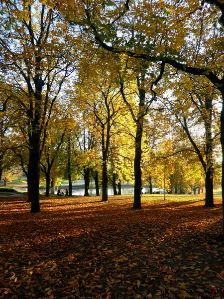 Panorama Jesienna Południu Niemcy — Zdjęcie stockowe