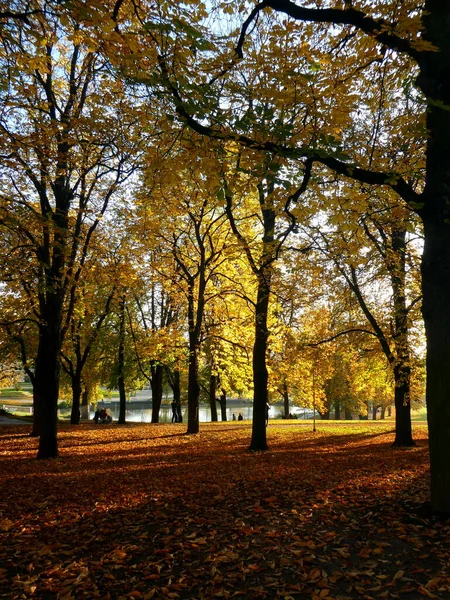 Herbstpanorama Nachmittag Deutschland — Stockfoto