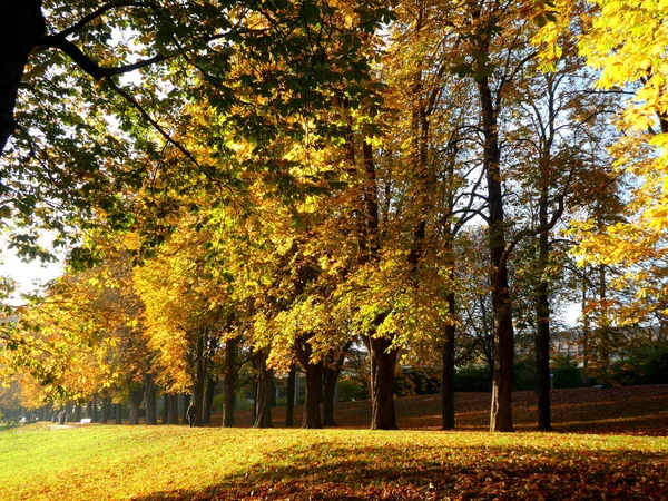 Autumn Panorama Второй Половине Дня Германия — стоковое фото