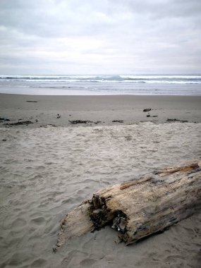 Bulutlu gökyüzü ile Oregon Denizi üzerinde odun