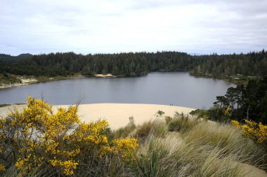 Bulutlu kum tepeleri