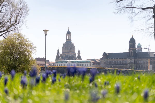 Altstadt Dresden Frühling Sachsen Deutschland — Stockfoto