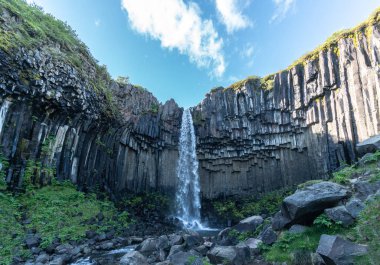 Güzel Skaftafell Ulusal Parkı, İzlanda, Svartifoss