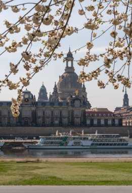 Dresden 'de bahar havası, eski şehre bakış, saksafon, Almanya