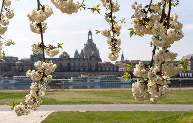 Dresden 'de bahar havası, eski şehre bakış, saksafon, Almanya