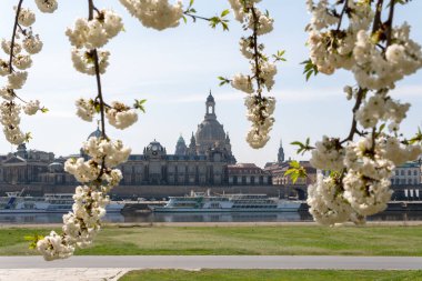 Dresden 'de bahar havası, eski şehre bakış, saksafon, Almanya