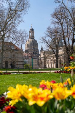 Dresden 'de bahar havası, kadınımızın kilisesi, saksafon, Almanya