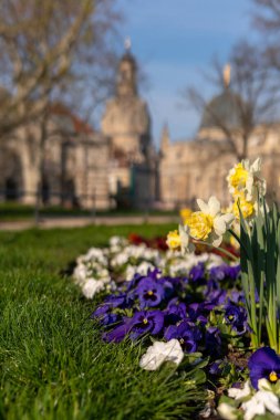 Dresden 'de bahar havası, kadınımızın kilisesi, saksafon, Almanya