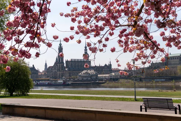 Spring vibes in Dresden, view to the oldtown, saxony, germany