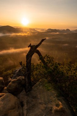 Saxon İsviçre 'de gün doğumu, htzschelstiege, Saksonya, Almanya
