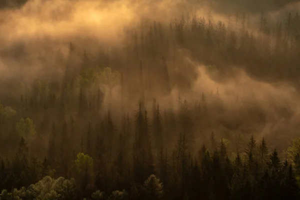 萨克森 萨克森 德国的雾蒙蒙的早晨 — 图库照片